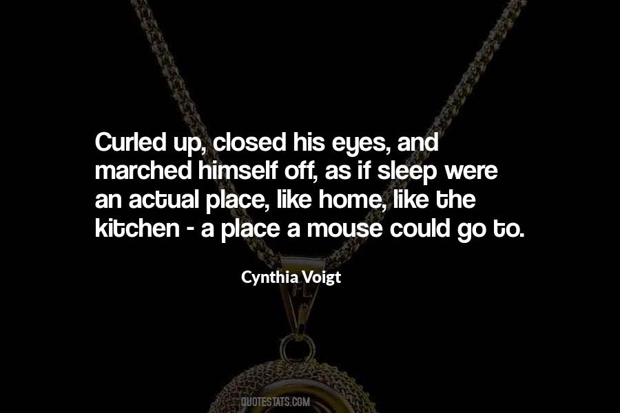 Cynthia Voigt Quotes #363818