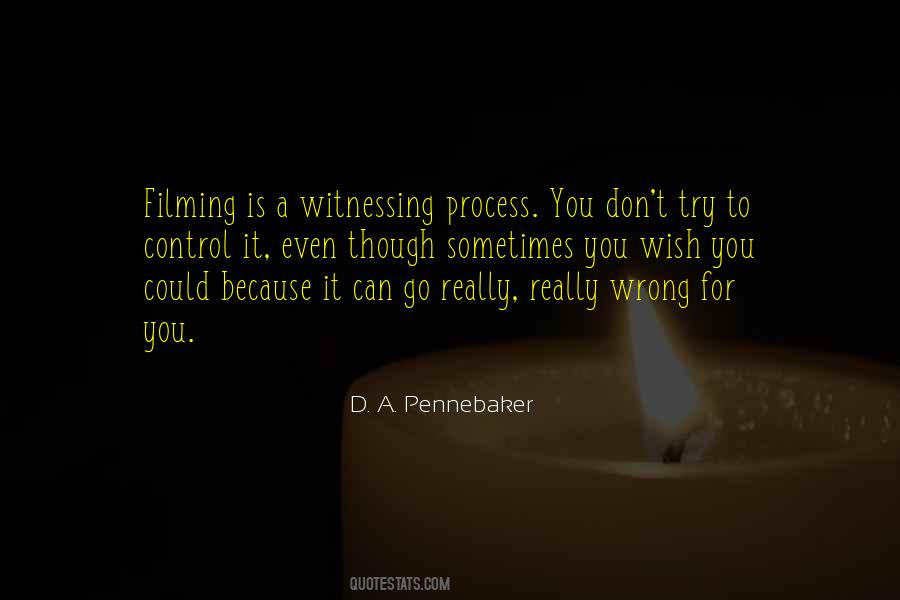 D. A. Pennebaker Quotes #586468