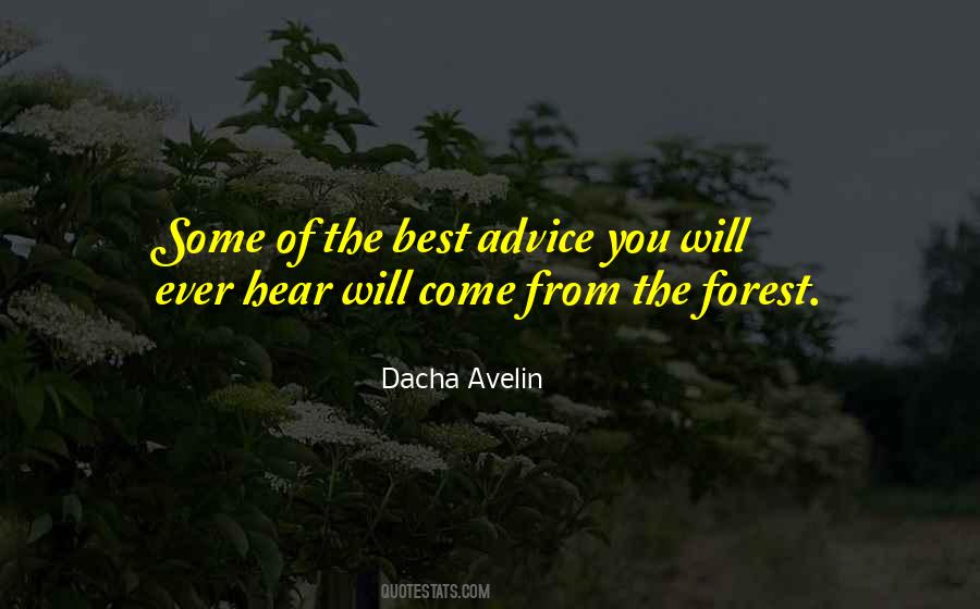 Dacha Avelin Quotes #1262227