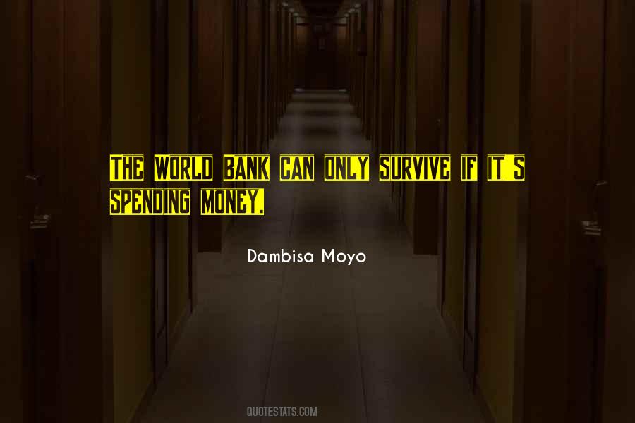 Dambisa Moyo Quotes #1509115