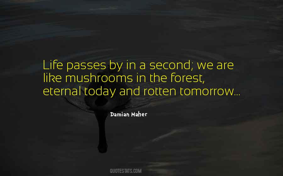 Damian Maher Quotes #1362531 Damian Maher Quotes #1362531