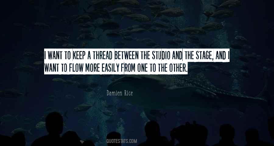 Damien Rice Quotes #34026