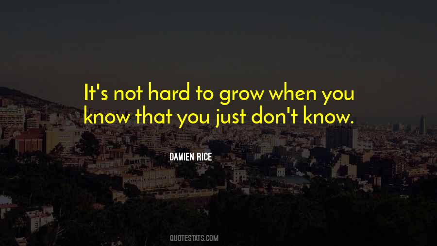 Damien Rice Quotes #708325