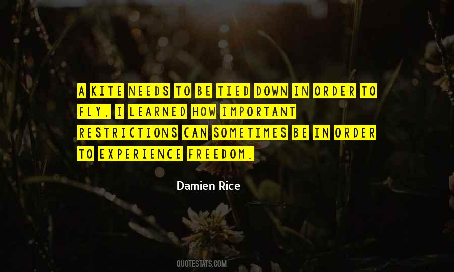 Damien Rice Quotes #762007