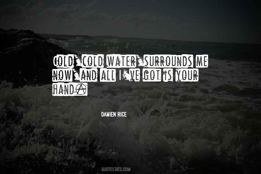 Damien Rice Quotes #819600