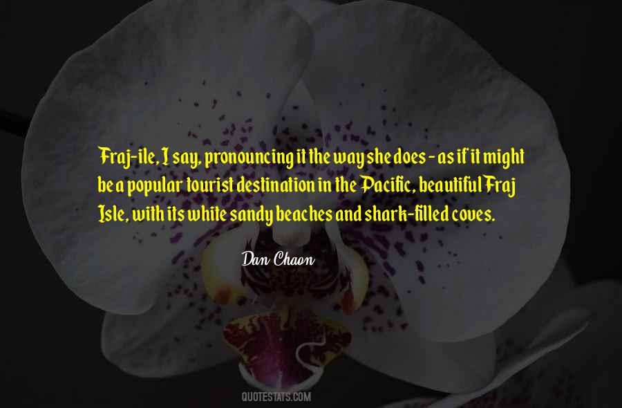 Dan Chaon Quotes #116907