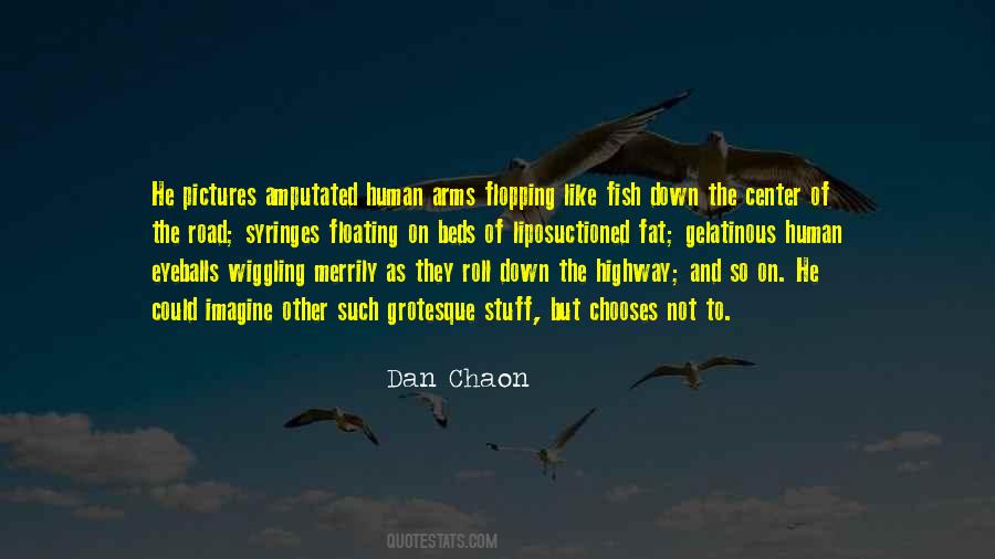 Dan Chaon Quotes #230439