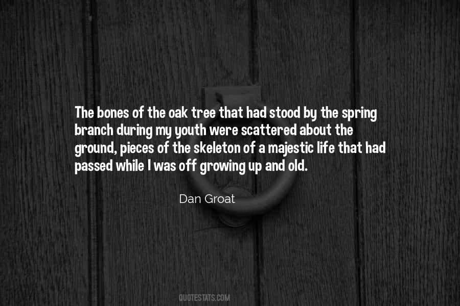 Dan Groat Quotes #603424