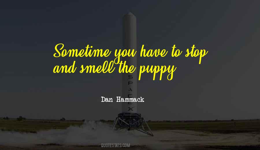 Dan Hammack Quotes #883639