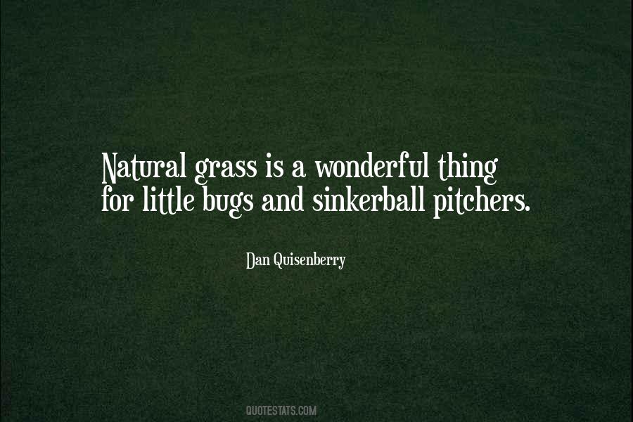 Dan Quisenberry Quotes #541761