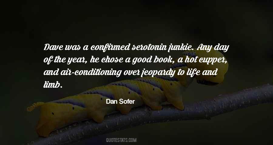 Dan Sofer Quotes #591221