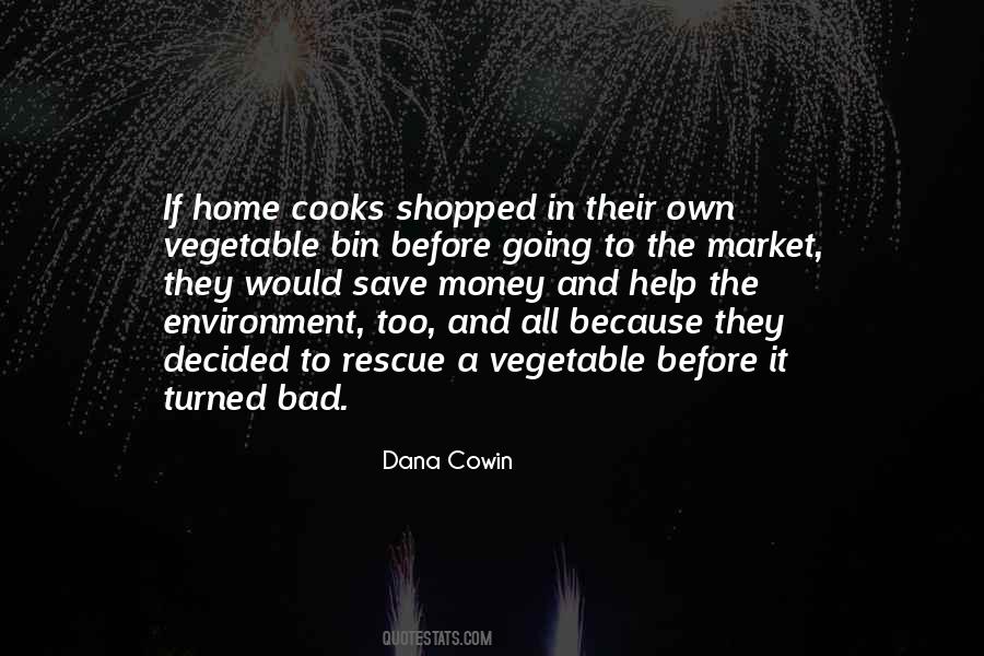 Dana Cowin Quotes #1363750