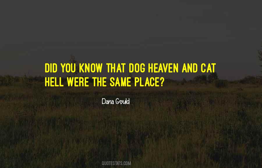 Dana Gould Quotes #653168