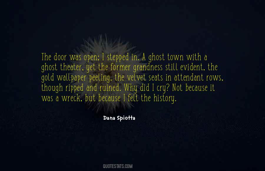 Dana Spiotta Quotes #993762