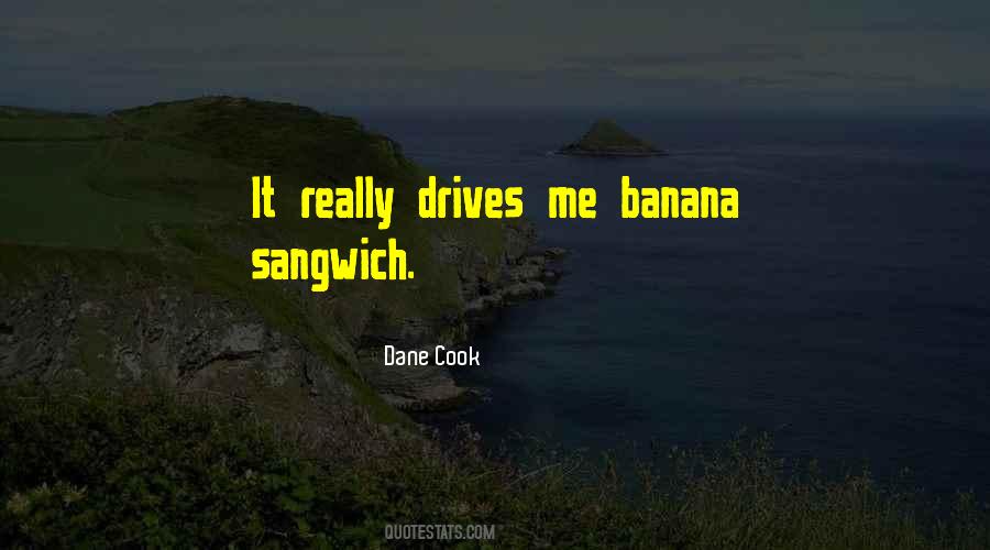 Dane Cook Quotes #1423839