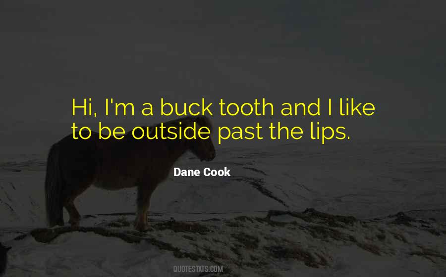 Dane Cook Quotes #501979
