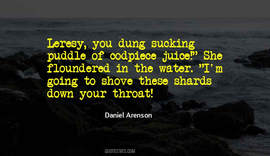 Daniel Arenson Quotes #752069