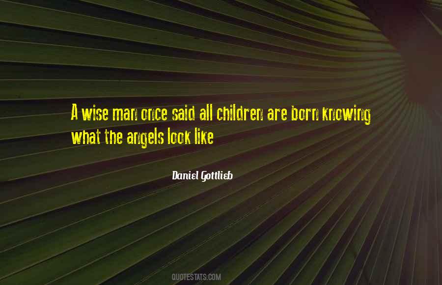 Daniel Gottlieb Quotes #1319554