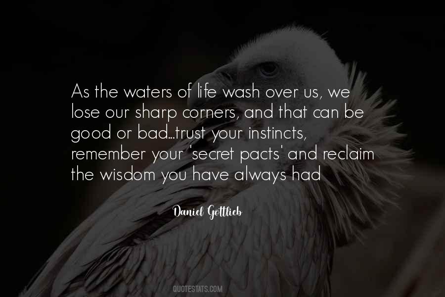 Daniel Gottlieb Quotes #675219