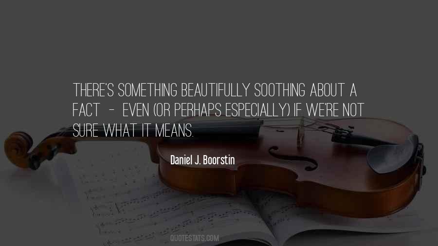 Daniel J. Boorstin Quotes #254152