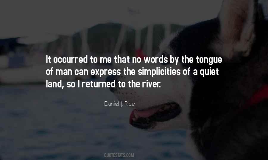 Daniel J. Rice Quotes #400716