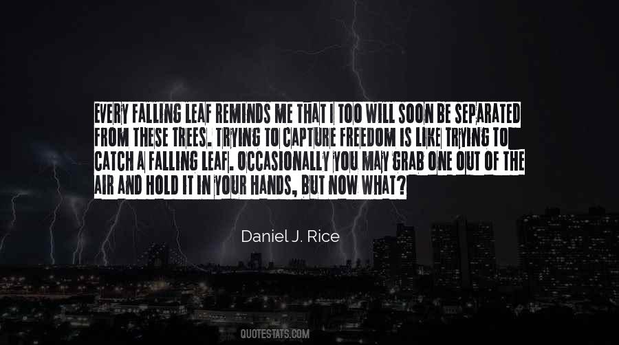 Daniel J. Rice Quotes #67928