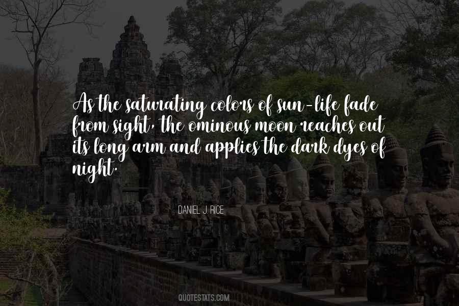 Daniel J. Rice Quotes #798736