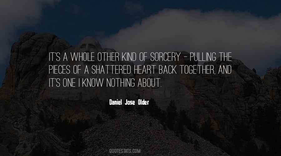 Daniel Jose Older Quotes #1097629