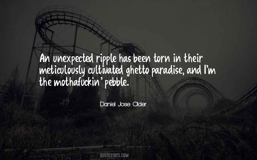 Daniel Jose Older Quotes #736607