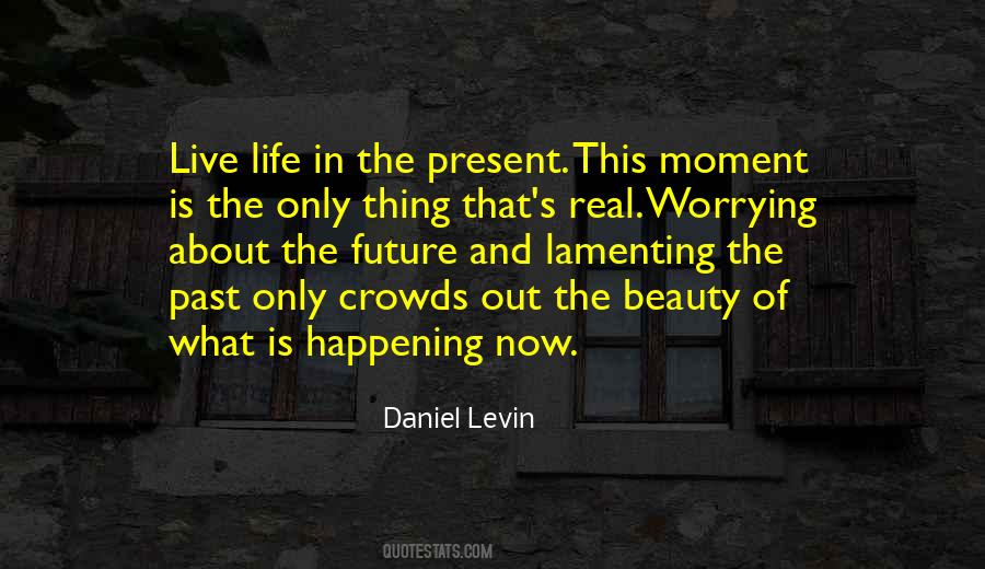 Daniel Levin Quotes #1555610 Daniel Levin Quotes #1555610