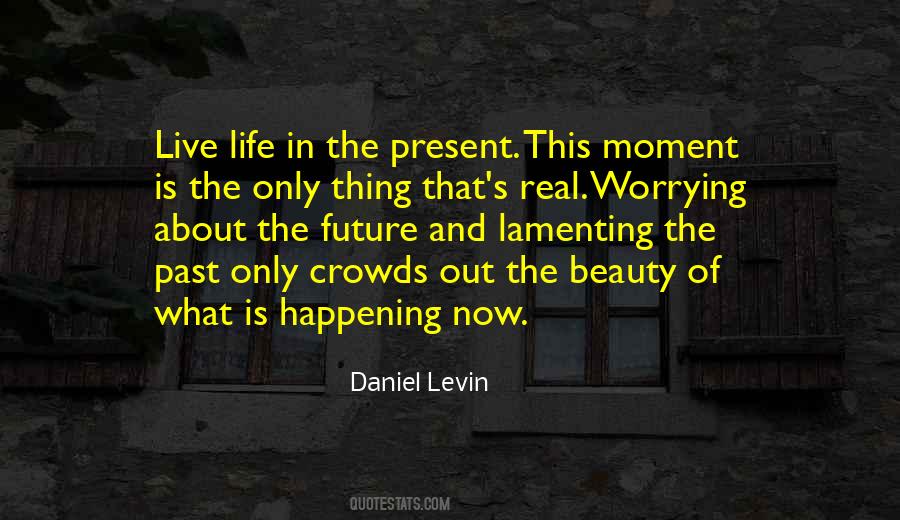 Daniel Levin Quotes #1555610