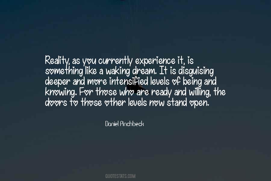 Daniel Pinchbeck Quotes #1815486