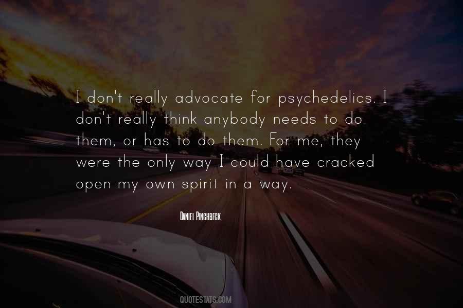 Daniel Pinchbeck Quotes #244640