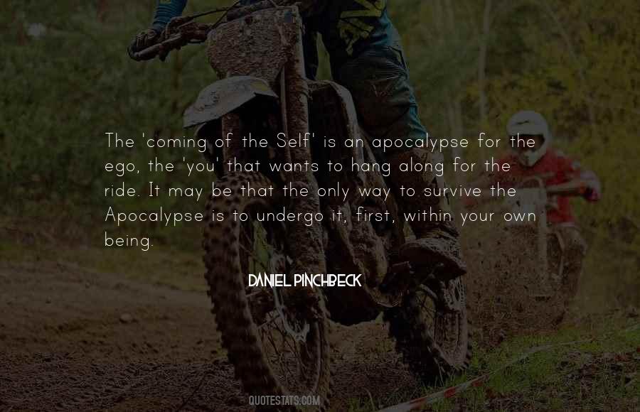 Daniel Pinchbeck Quotes #426252