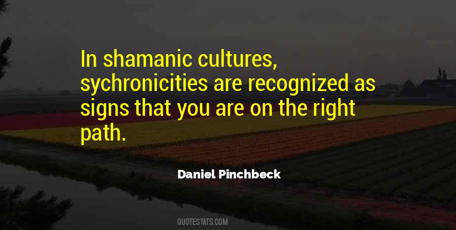 Daniel Pinchbeck Quotes #441849