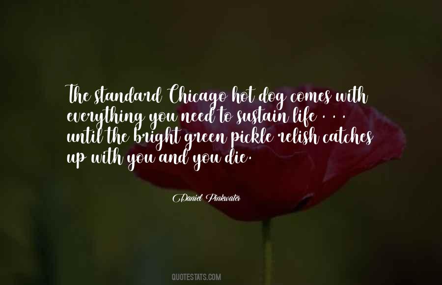 Daniel Pinkwater Quotes #1002367 Daniel Pinkwater Quotes #1002367