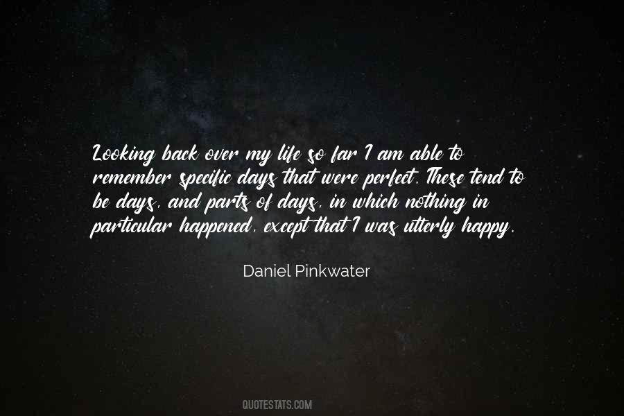 Daniel Pinkwater Quotes #1062789 Daniel Pinkwater Quotes #1062789