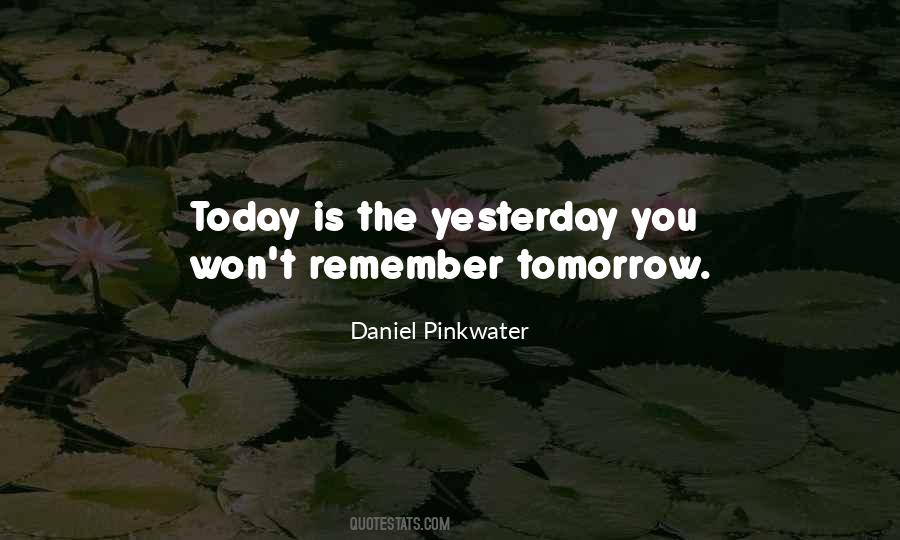 Daniel Pinkwater Quotes #81687 Daniel Pinkwater Quotes #81687