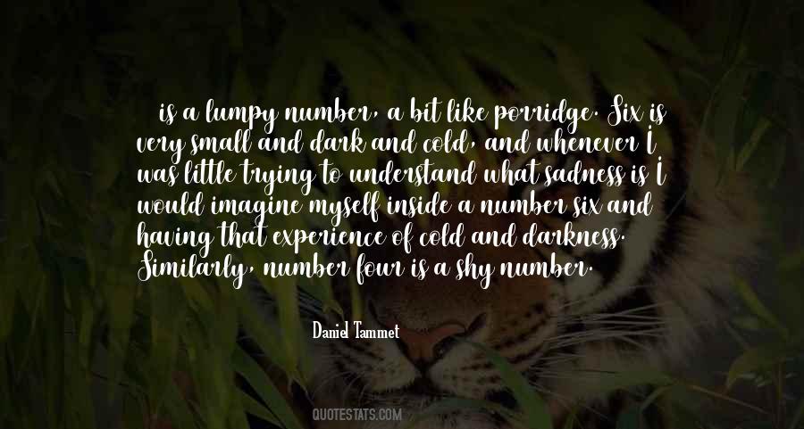 Daniel Tammet Quotes #1426045