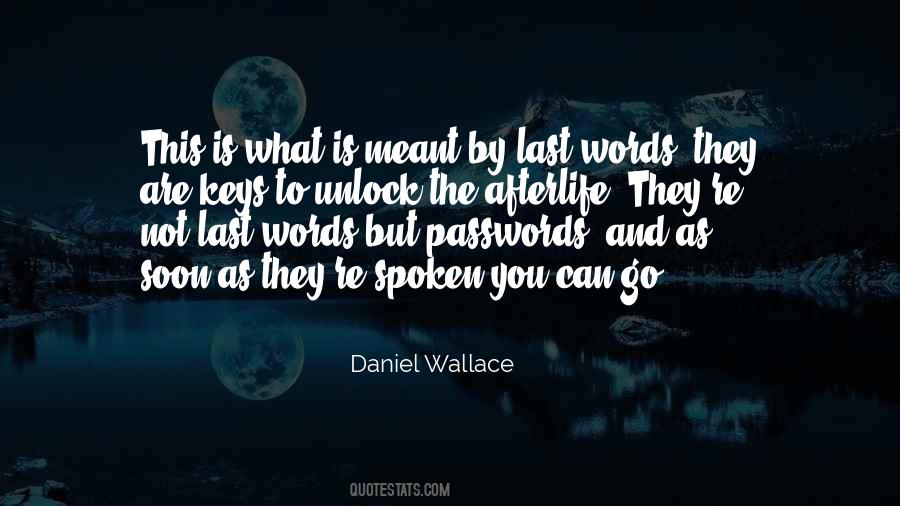 Daniel Wallace Quotes #629019