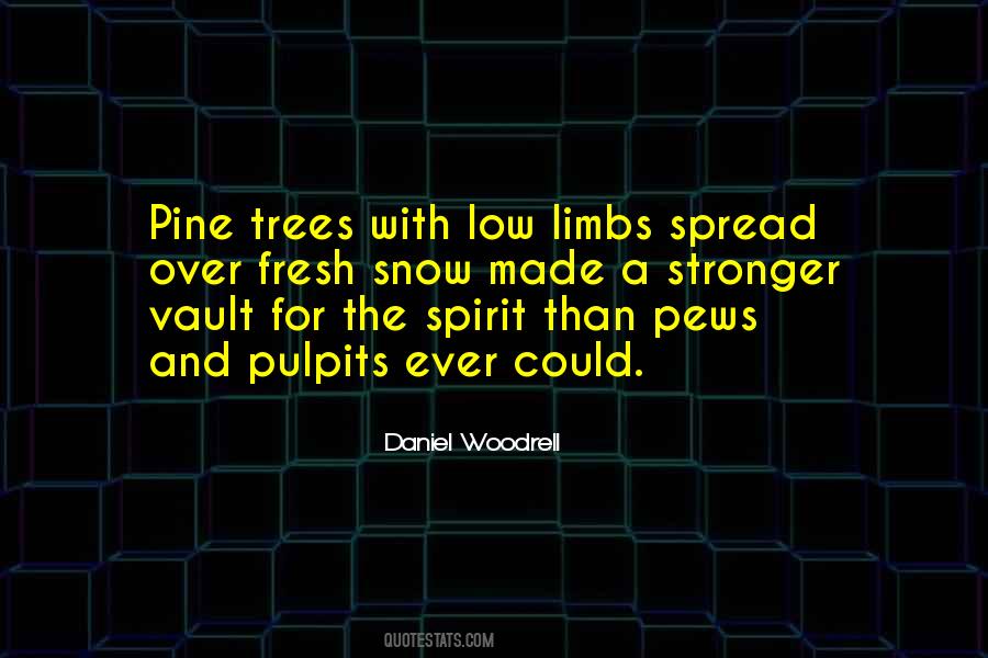 Daniel Woodrell Quotes #1774402