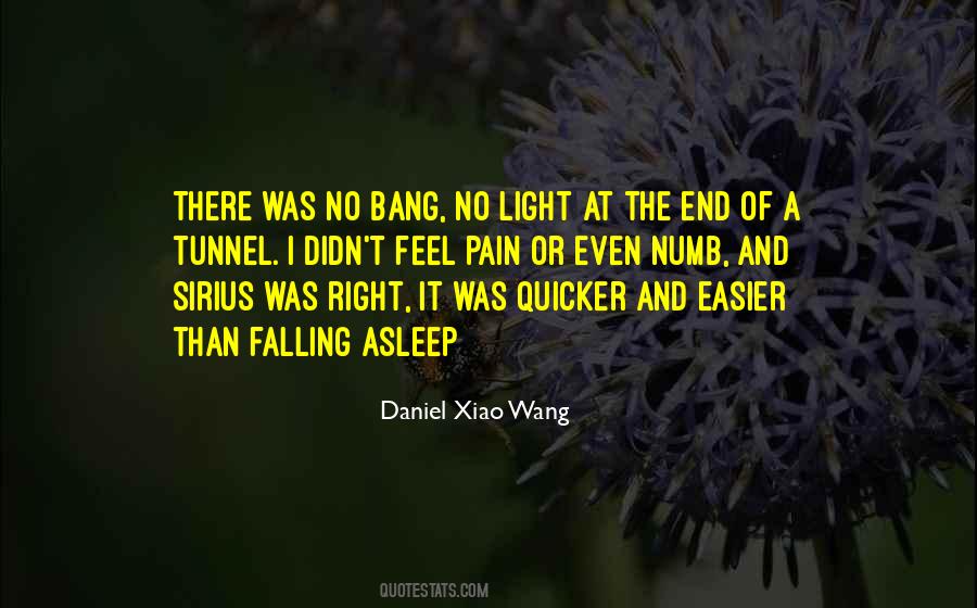 Daniel Xiao Wang Quotes #1253708