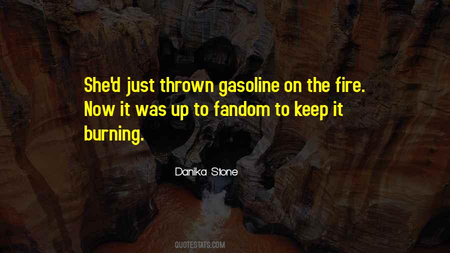 Danika Stone Quotes #1866213