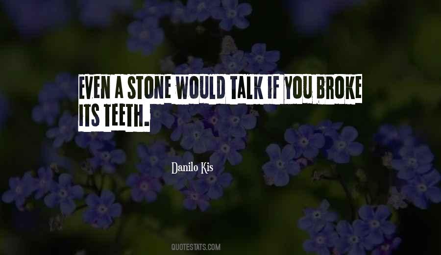 Danilo Kis Quotes #831059