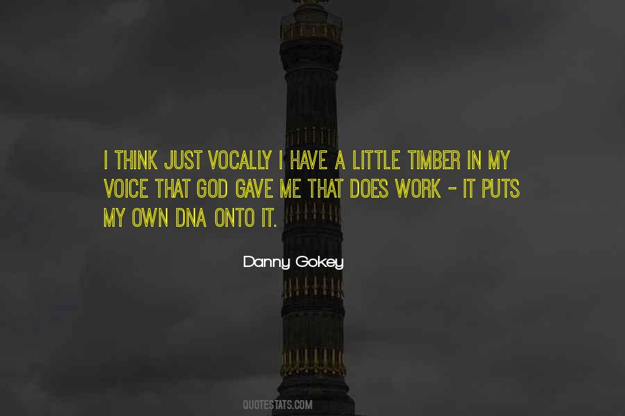 Danny Gokey Quotes #453833