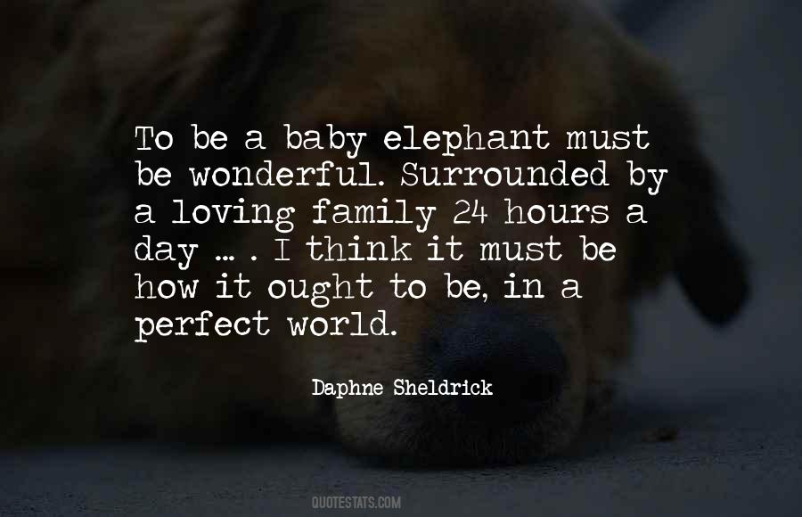 Daphne Sheldrick Quotes #4523