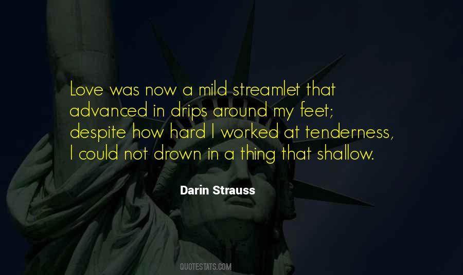 Darin Strauss Quotes #1395193