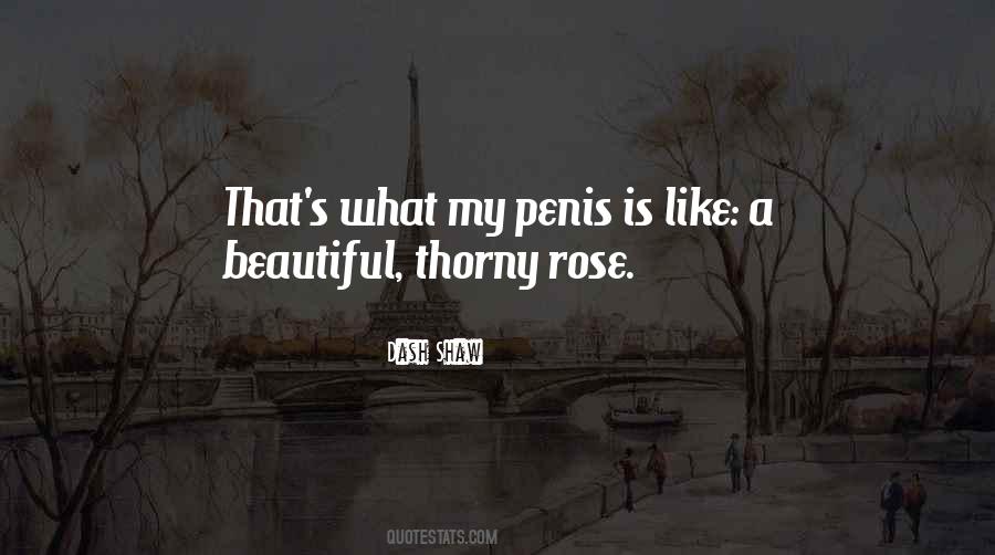 Dash Shaw Quotes #1111725 Dash Shaw Quotes #1111725