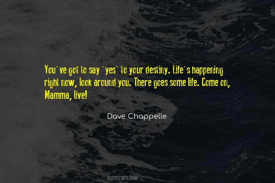 Dave Chappelle Quotes #46830