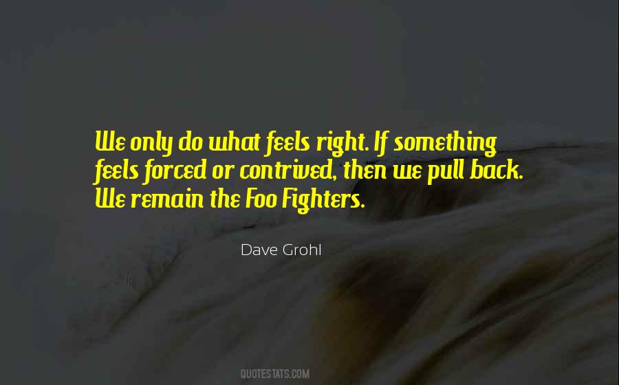 Dave Grohl Quotes #1650278
